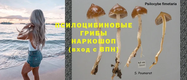 герыч Медногорск