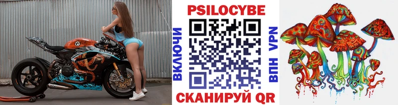 цены наркотик  Новосиль  Галлюциногенные грибы Psilocybe 